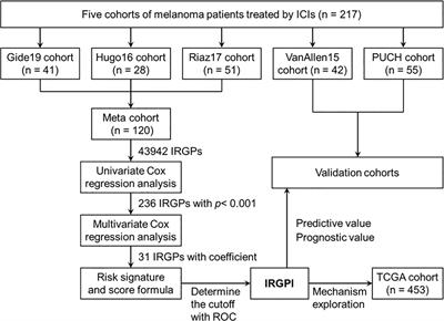 An Immune-Related Gene Pair Index Predicts Clinical Response and Survival Outcome of Immune Checkpoint Inhibitors in Melanoma